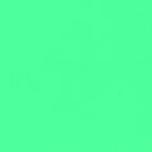 Cadence Akrilik Ahşap Boyası 120ml 5050 N.Yeşil