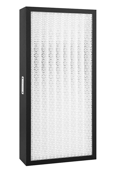 Blueair 400 Smokestop Filtre