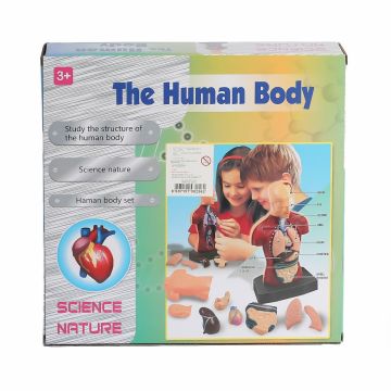 KZL-3301 İnsan Vücudunu Öğreniyorum Seti