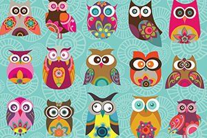 KS Puzzle 500 Parça Multi Owls Renkli Baykuşlar