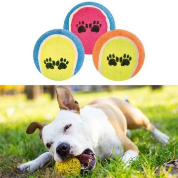 3'lü Renkli Desenli Tenis Topu Kedi Köpek Oyuncağı -1 adet stokta olan gönderilir