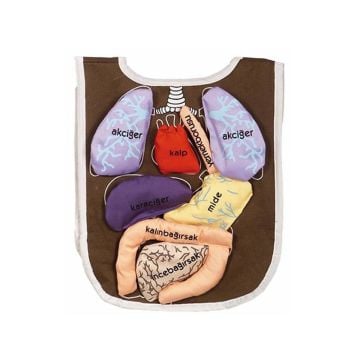 AND-5011 Organ Önlüğü Organlar cırt bantlı