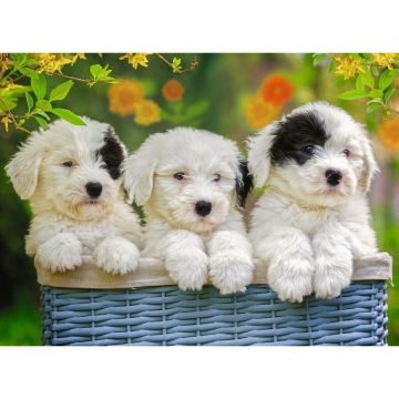 127658 Cuddly Puppies 200 parça XXL Ravensburger Puzzle