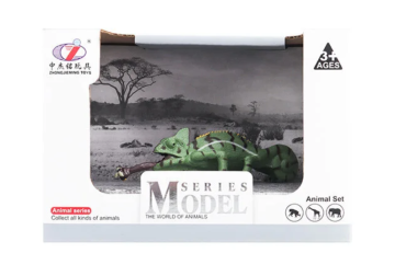 Kutulu Model Bukalemun