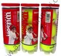 WİLSON CHAMPİONSHİP TENİS TOPU (3 adet)