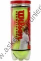WİLSON CHAMPİONSHİP TENİS TOPU (3 adet)