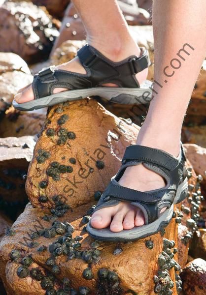 Regatta Ad-Splorer Sandalet