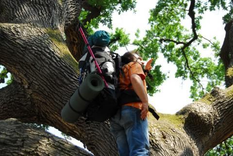 EYE MOUNTAİNER 73 Litre Dağ Çantası