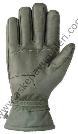 SOĞUK İKLİM ELDİVENİ