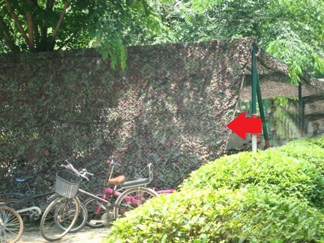 WOODLAND KAMUFLAJ GİZLENME AĞI