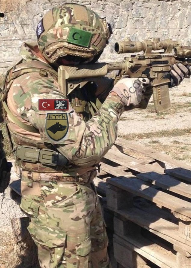 GökTürk Bayrağı Arması