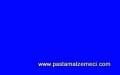 TOZ GIDA BOYASI DR GUSTO 10GR MAVİ