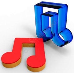 NOTA POLİKARBON KURABİYE KALIBI