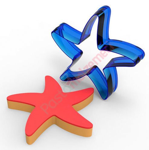 DENİZ YILDIZI POLİKARBON KURABİYE KALIBI