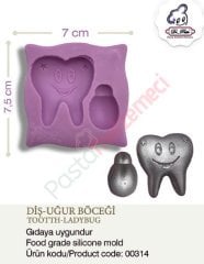 DİŞ UĞUR BÖCEĞİ SİLİKONU