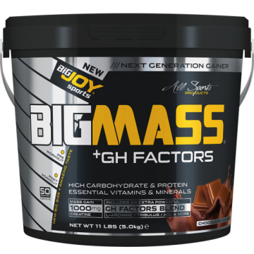 Bigjoy Sports BIGMASS Gainer GH FACTORS Çikolata 5000g