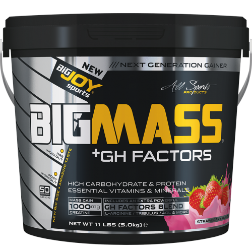 Bigjoy Sports BIGMASS Gainer GH FACTORS Çilek 5000g
