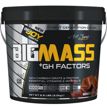 Bigjoy Sports BIGMASS Gainer GH FACTORS Çikolata 3000g