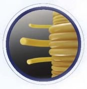 Lateks Hortum, 2x4 mm - 5 Mt.