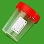 Numune Kabı, Plastik, PP, Hacim 180 ml,Steril, Etiketli - 25 Ad.