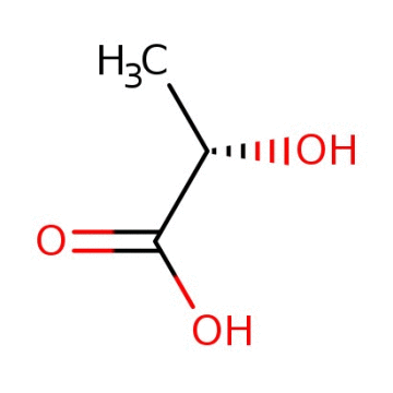 LAKTİK ASİT %80 FOOD GRADE - 1 LT