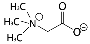 BETAİN %45 CHEM PURE - 1 KG
