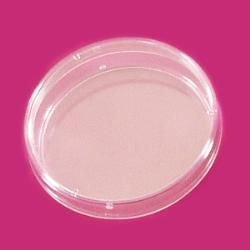 Petri Kutusu, Plastik PS 60 mm (10 adet)