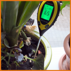 Dijital Toprak pH metre / Nem /Işık Şiddeti /Sıcaklık Ölçer