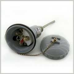 Çap:8mm. Boy: 25 cm. 1/2 inç - Kafalı Tip Pt-100