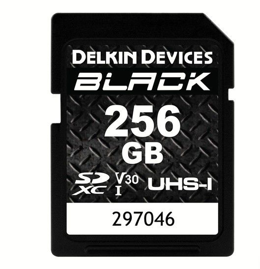 Delkin Devices 256 GB BLACK UHS-I V30 SDXC Hafıza Kartı