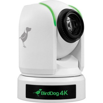 BirdDog P4K 4K Full NDI PTZ Camera (White)