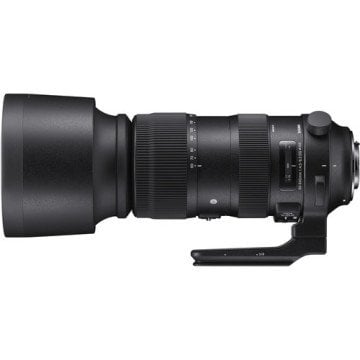 Sigma 60-600mm f/4.5-6.3 DG OS HSM Sports Lens (Nikon F)