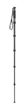 Gitzo GM2562T Carbon Fiber Monopod