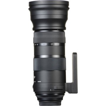 Sigma 150-600mm F5-6.3 DG OS HSM Sports Lens (Nikon F)