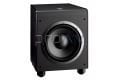 ES 250 PW Subwoofer