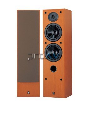 NS-50F Kule Tipi Hoparlör