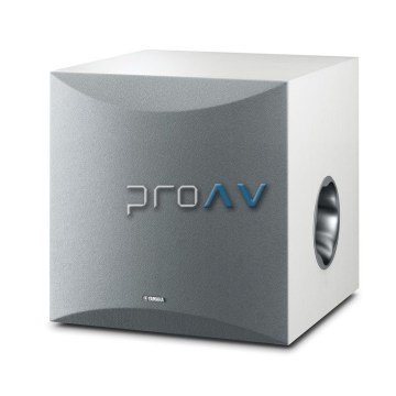 NS-SW100 Subwoofer Hoparlör