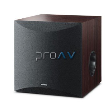 NS-SW100 Subwoofer Hoparlör