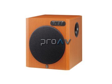 YST-RSW300 Subwoofer Hoparlör