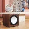 BRONZE BXW10 SUBWOOFER HOPARLÖR