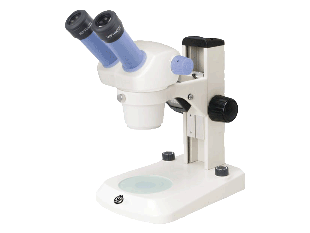 WERKA Ekonomik Binoküler Mikroskop (520-0217)