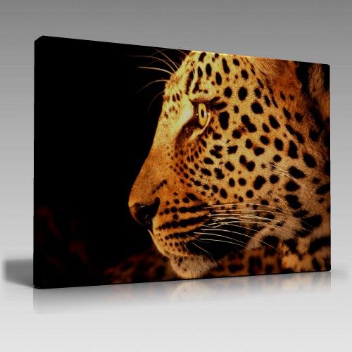 Leopar Tablo