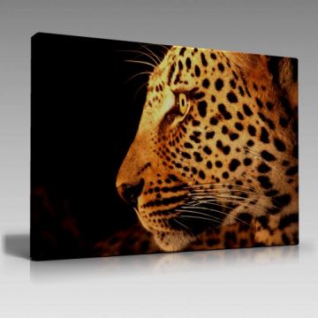 Leopar Tablo