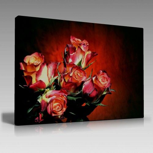 Rose Flower