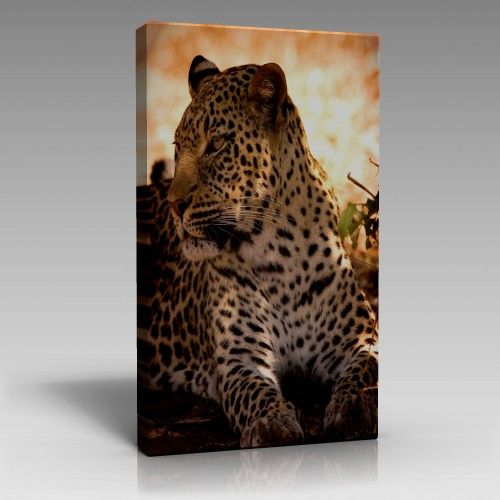 Leopar Tablo