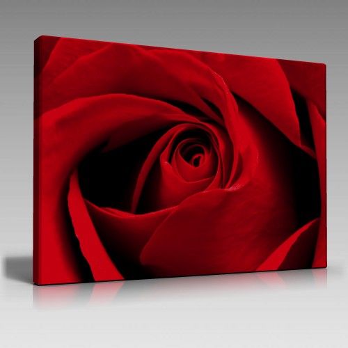 Red Rose