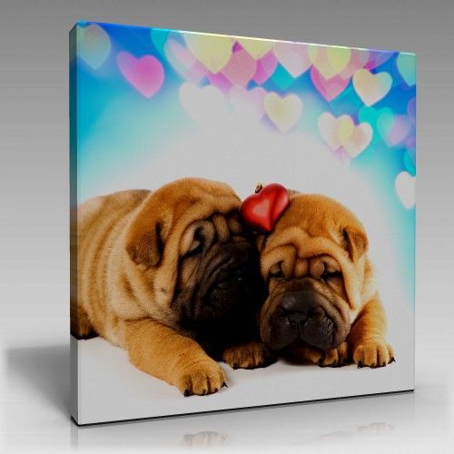 Uyuyan Köpekler Tablo