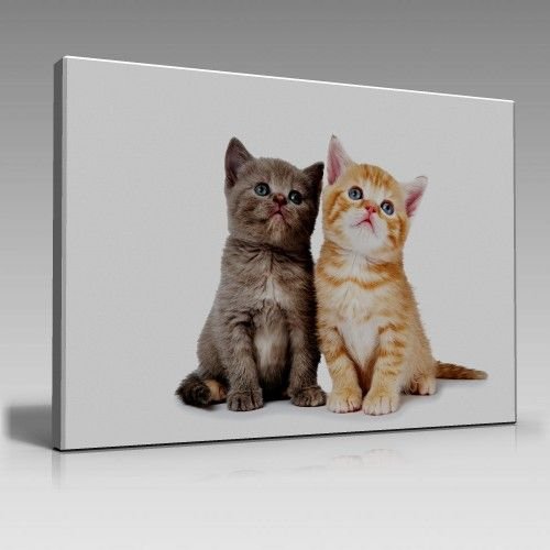 Kedi Aşk Tablo