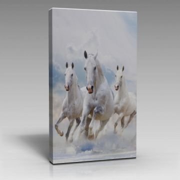 3 beyaz atlı tablo