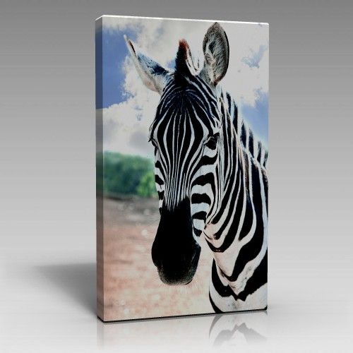Zebra Tablo
